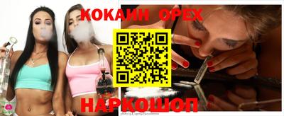 apvp Бийск