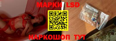 apvp Бийск