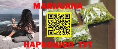 apvp Бийск