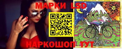 сатива Беслан