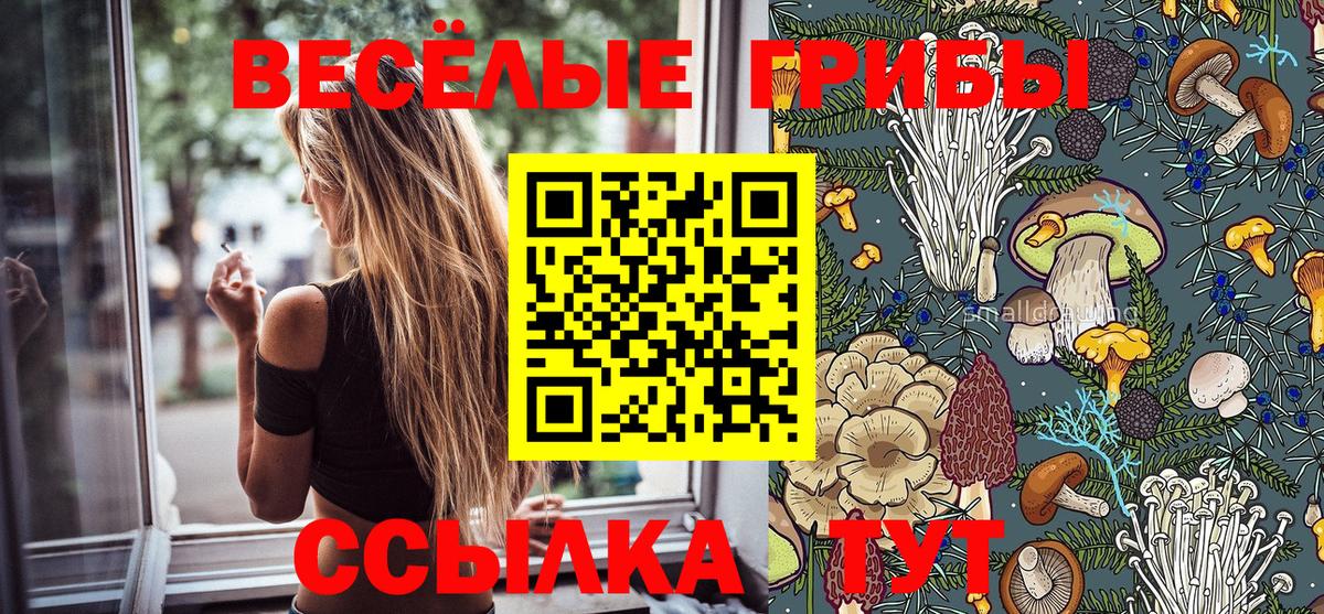 Псилоцибиновые грибы Magic Shrooms  Галлюциногенные грибы Psilocybe  Вход с VPN  продажа наркотиков  Воронеж 